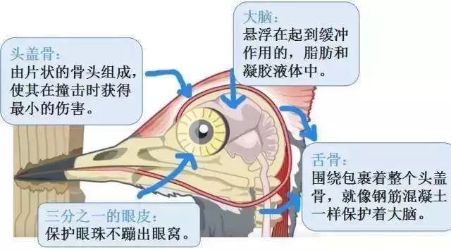 微信圖片_20241205171613.jpg 微信圖片_20241205171613.jpg